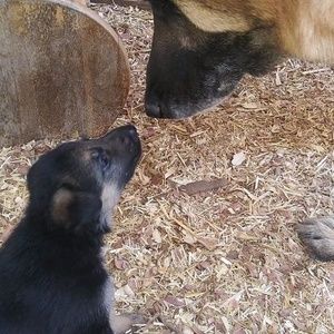 Meet your Posher, Eddie